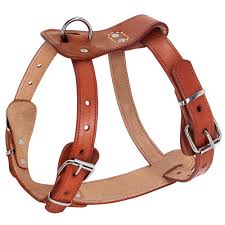 Leather Dog Harness